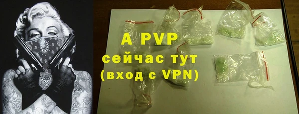 амф Алексин
