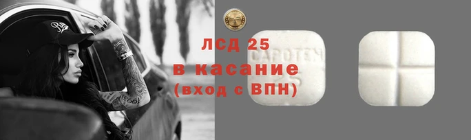 амф Алексин
