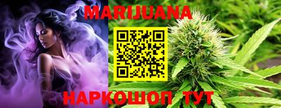 шишки Шелехов