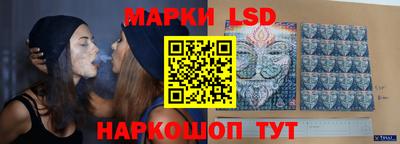 шишки Шелехов