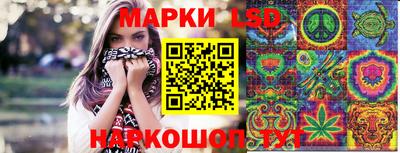 шишки Шелехов