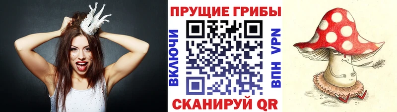 МЕГА как зайти  Слободской  Галлюциногенные грибы Psilocybine cubensis 