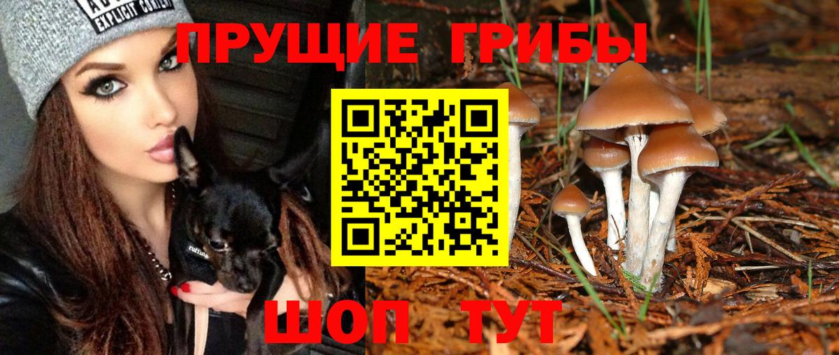 МЕТАМФЕТАМИН Слободской